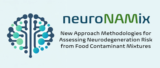 New Approach Methodologies for Assessing Neurodegeneration Risk from Food Contaminant Mixtures